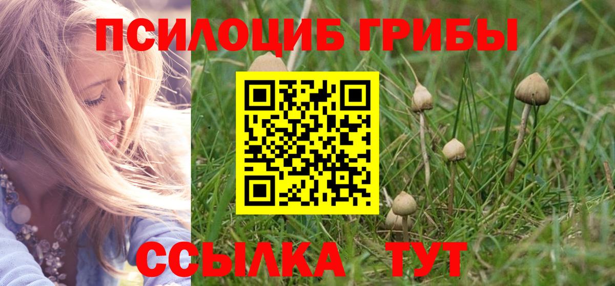 Псилоцибиновые грибы прущие грибы  Вход с VPN  Галлюциногенные грибы мухоморы  Бугуруслан 